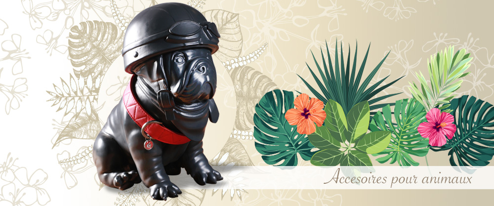Accessoires pour animaux Accessoires pour animaux