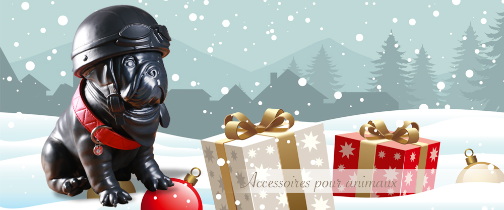 Accessoires pour animaux Accessoires pour animaux