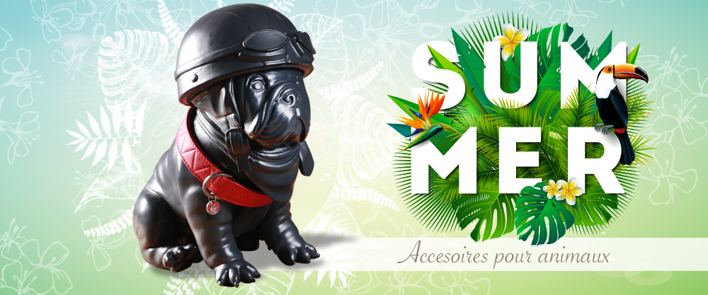 Accessoires pour animaux Accessoires pour animaux