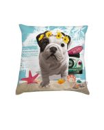Coussin deco Teo California  Coussin deco Teo California