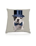Coussin deco Teo Dandy