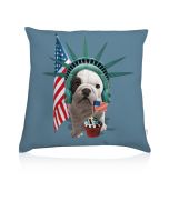 Coussin deco Teo America