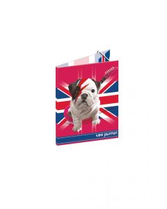 Chemise carton Teo Stardust